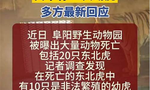 安徽合肥天气预报一周天气_安徽合肥天气预报一周天气情况